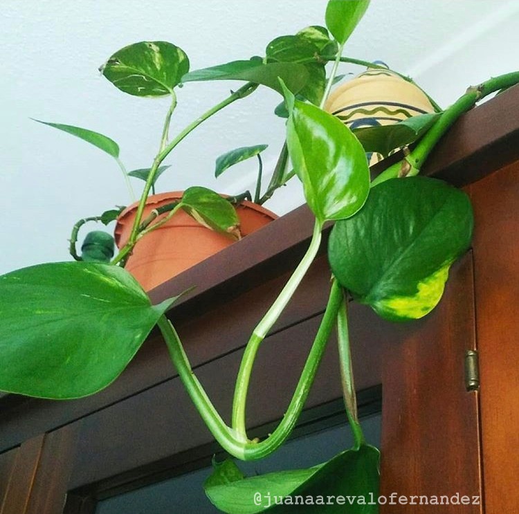 untitled image