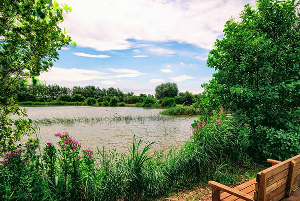 5d431e782a20964e463b125e_Watermeadows Fi