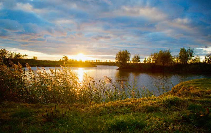 Evening sunset walks. Dog lovers paradise