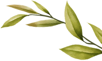 Recurso 64_edited_edited.png