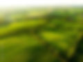 AdobeStock_211063817_Preview.jpeg