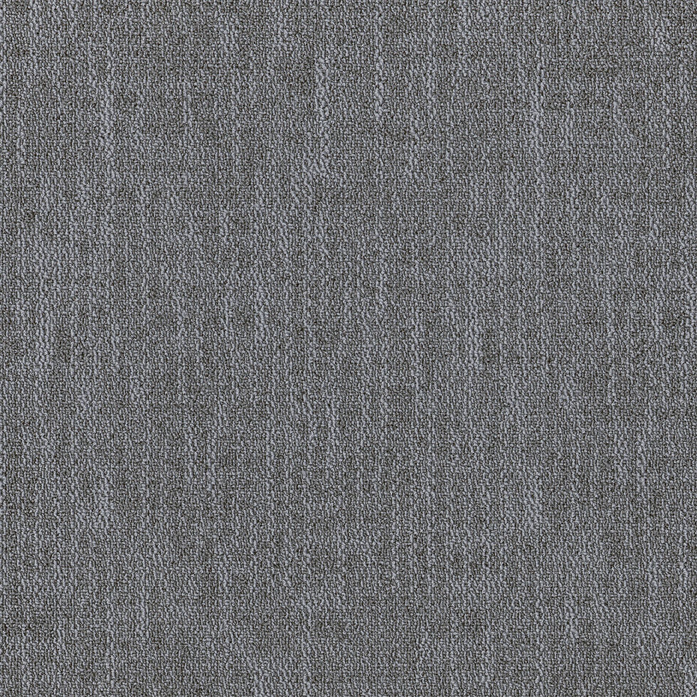 Grey Mist 26481.jpg