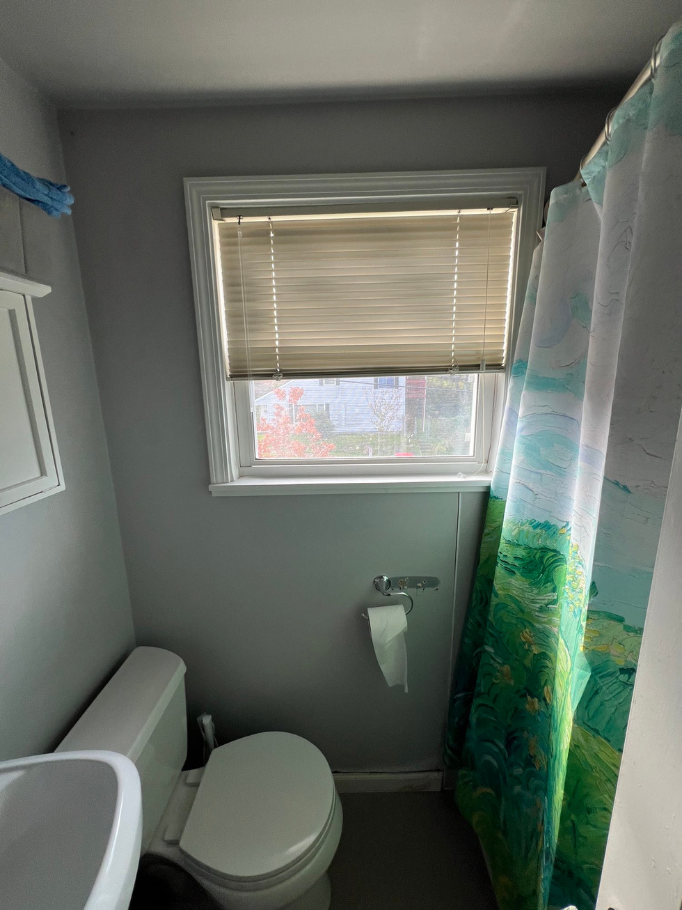 a bathroom with a toilet a shower curtain and a window