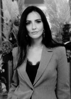 Screenshot 2024-07-10 at 11.33.18 AM.png