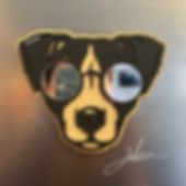 Imán: Jack Russell.