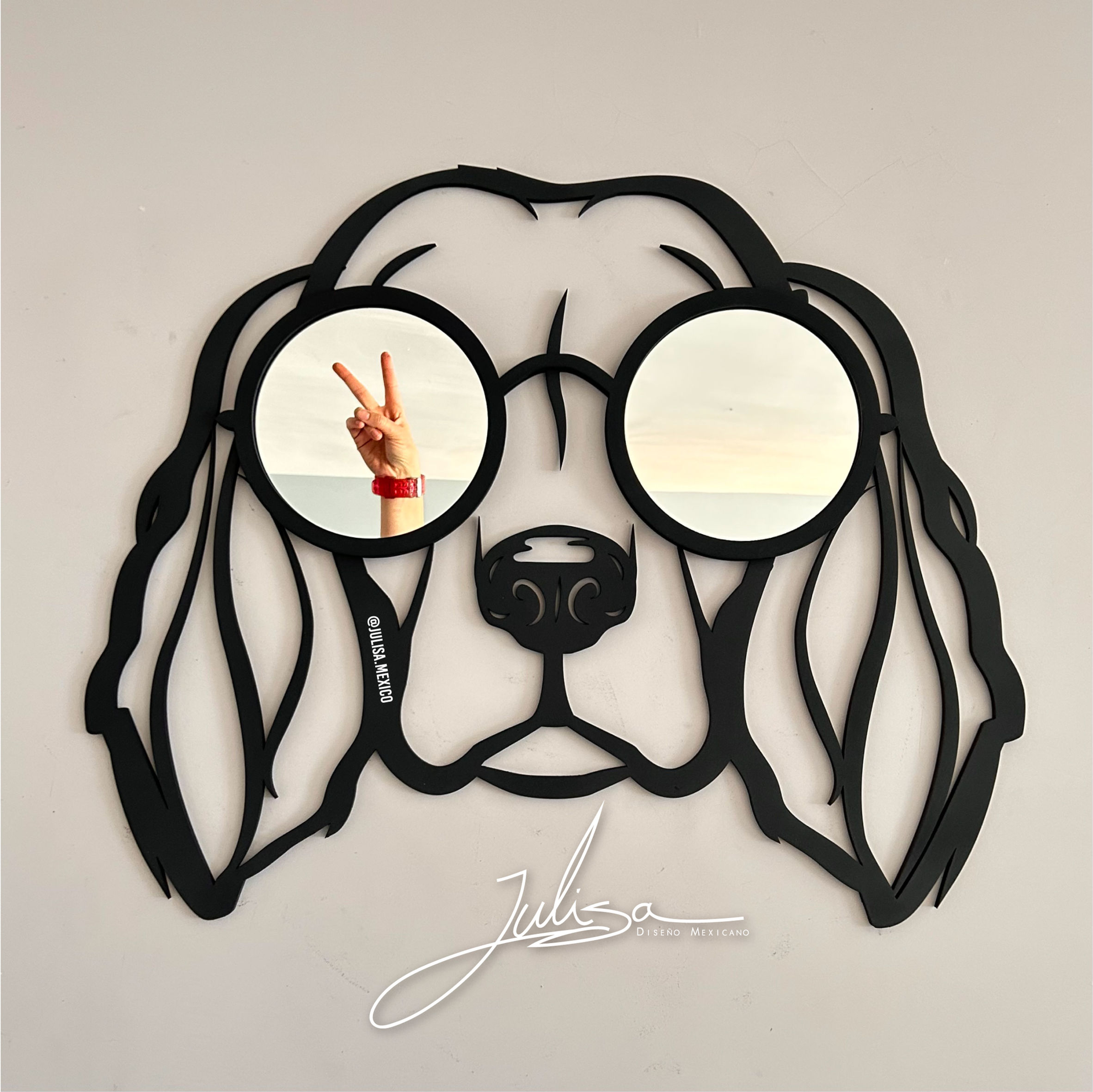 Setter irlandés.