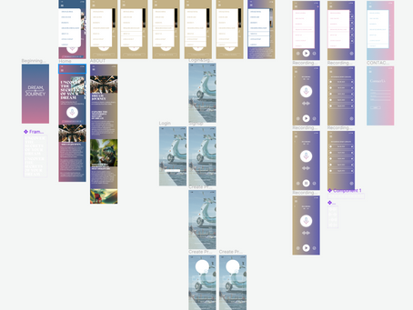 Thesis 2: Major Project / Thesis Materials 2.1