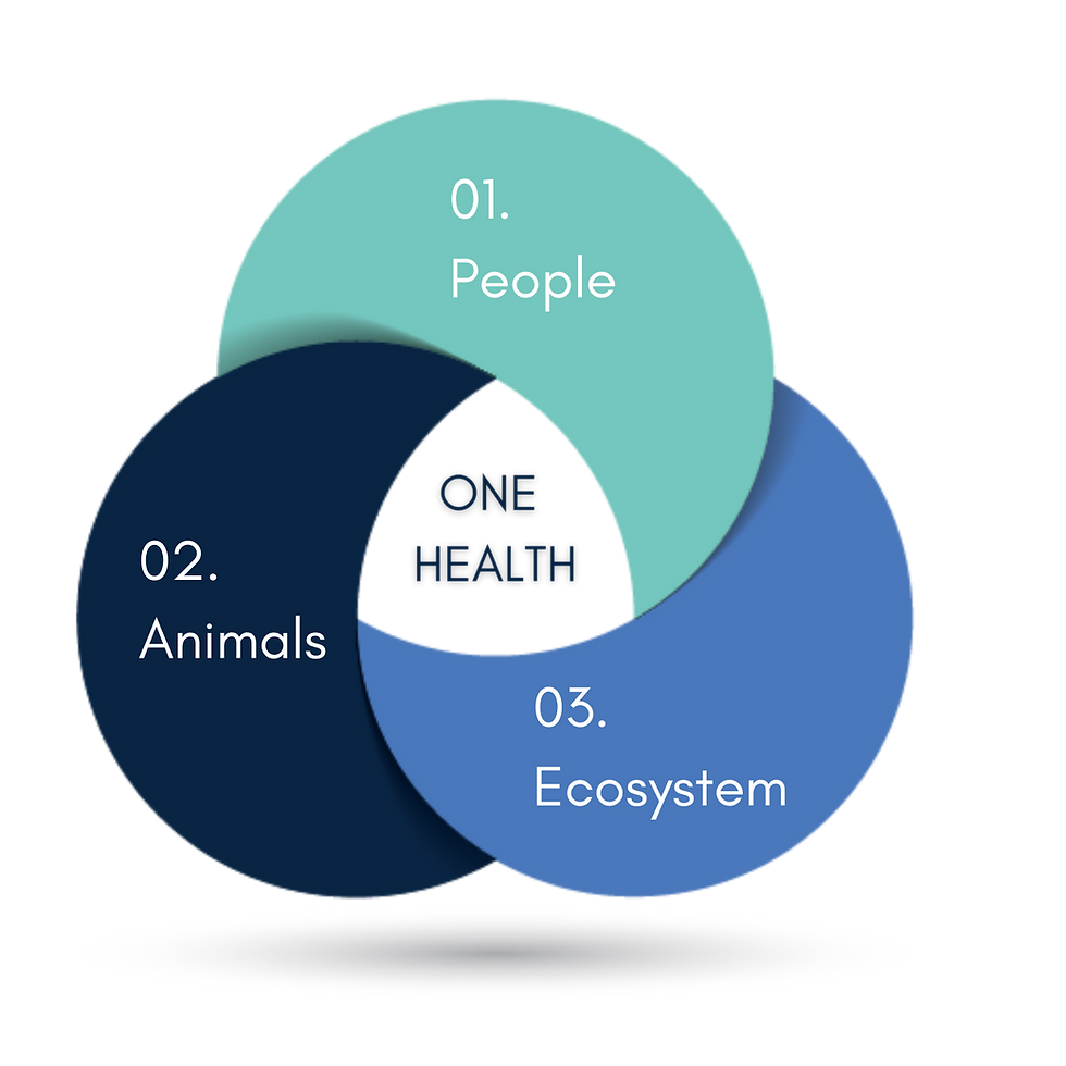 One Health Logo less text.png