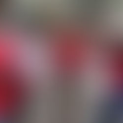 Mehr Zeit für Volksinitiativen