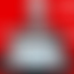 Bundestag beschließt 12 Euro Mindestlohn