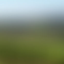 vue sur un paysage de Bourgogne