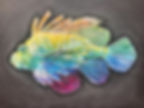 Feuerfisch
