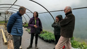 Gardener's World Live - Wingfield Station Restoration Project