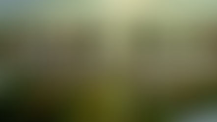 Catch DHBT on TV Tomorrow @ 8pm