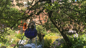 A Magical DHBT Garden Party - 17th July 2021