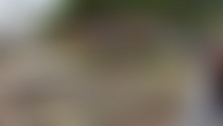 Slate tiles and show gardens