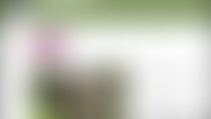 IHBC welcomes Derbyshire HB Trust School on Buildings at Risk