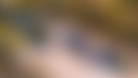 Wingfield Station - Photos by Laura Firth/MiniAperture Photography (November 2023)