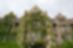 ECHART HALL UCHICAGO.jpg