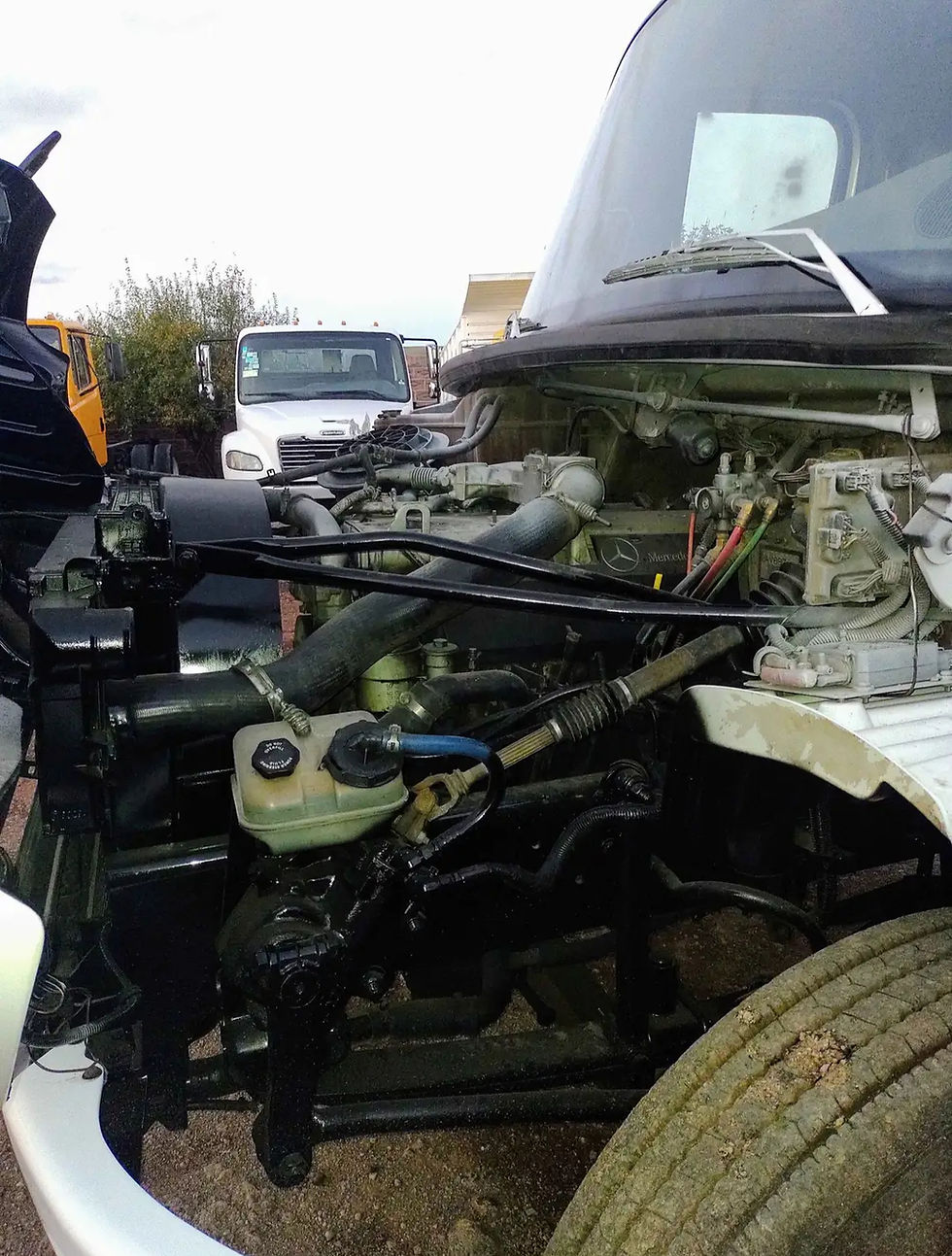 Miniatura: FREIGHTLINER M2 2011