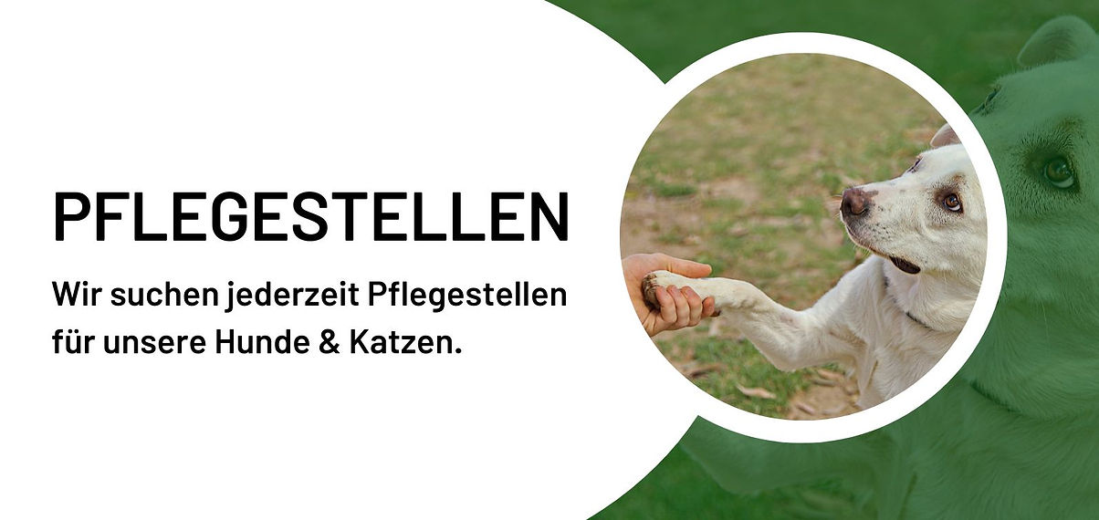 Header_Pflegestelle.jpg