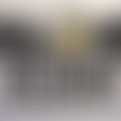 Blog | Exclusive Content