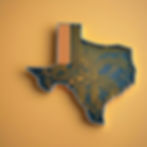 Texas shaped computer chip.jpg