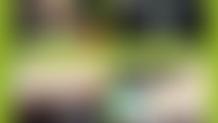 [Fête des Saints Patrons de la sécurité]