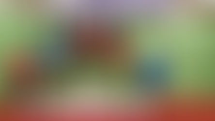 Coupe d'été - Résultats