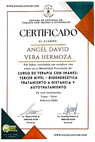 75 - Certificado Curso Bioenergética FEB 2025.png