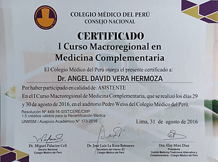 Certificado Curso Macroregional MC 2016
