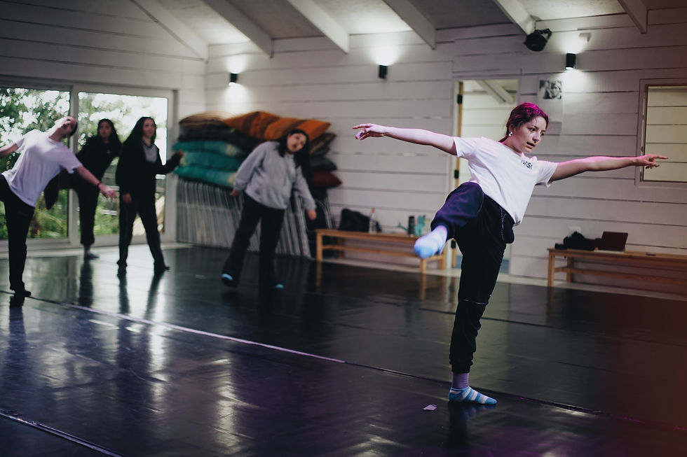 La fuerza de las Danzas