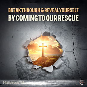 Break through and reveal yourself by coming to our rescue
â€â€Psalms‬ â€80‬:â€2bTPT