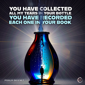 You keep track of all my sorrows. You have collected all my tears in your bottle. You have recorded each one in your book.
‭‭Psalms‬ ‭56‬:‭8‬ ‭NLT‬‬