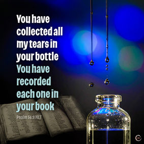 You have collected all my tears in your bottle. You have recorded each one in your book.
‭‭Psalms‬ ‭56‬:‭8‬ ‭NLT‬‬