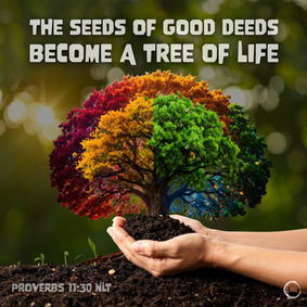 The seeds of good deeds become a tree of life
‭‭Proverbs‬ ‭11‬:‭30a‬ ‭NLT‬‬