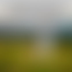 Sensible people control their temper; they earn respect by overlooking wrongs.
‭‭Proverbs‬ ‭19‬:‭11‬ ‭NLT