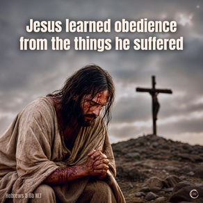 Jesus learned obedience from the things he suffered.
Hebrews 5:8b NLT