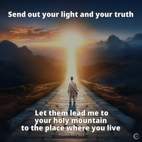 Send out your light and your truth. Let them lead me to your holy mountain to the place where you live
Psalms 43:3 NLT