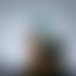 In this new life, Christ is all that matters, and he lives in all of us.
‭‭Colossians‬ ‭3‬:‭11‬b ‭NLT‬‬