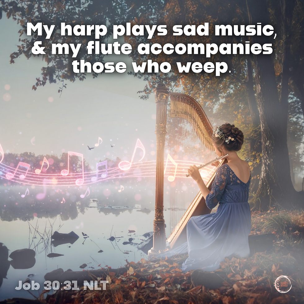 My harp plays sad music, and my flute accompanies those who weep.
‭‭Job‬ ‭30‬:‭31‬ ‭NLT‬‬