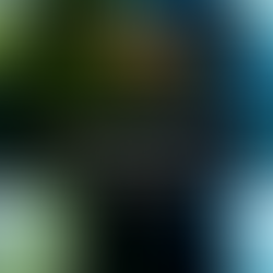 An impulsive person has a short fuse but the wise show self-control
Proverbs 14:17 TPT