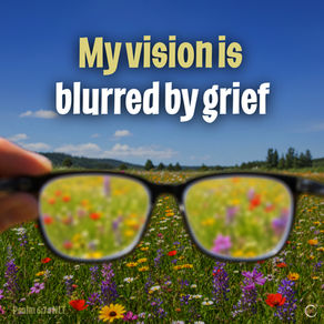 My vision is blurred by grief
Psalms 6:7a NLT