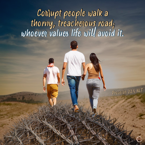 Conupt people walk a thorny, treacherous road; whoever values life will avoid it.
Proverbs 22.5 NLT