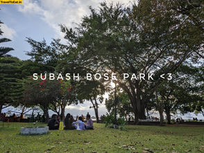 #DayTripsFromKochi Part 5: Our humble Subash Park