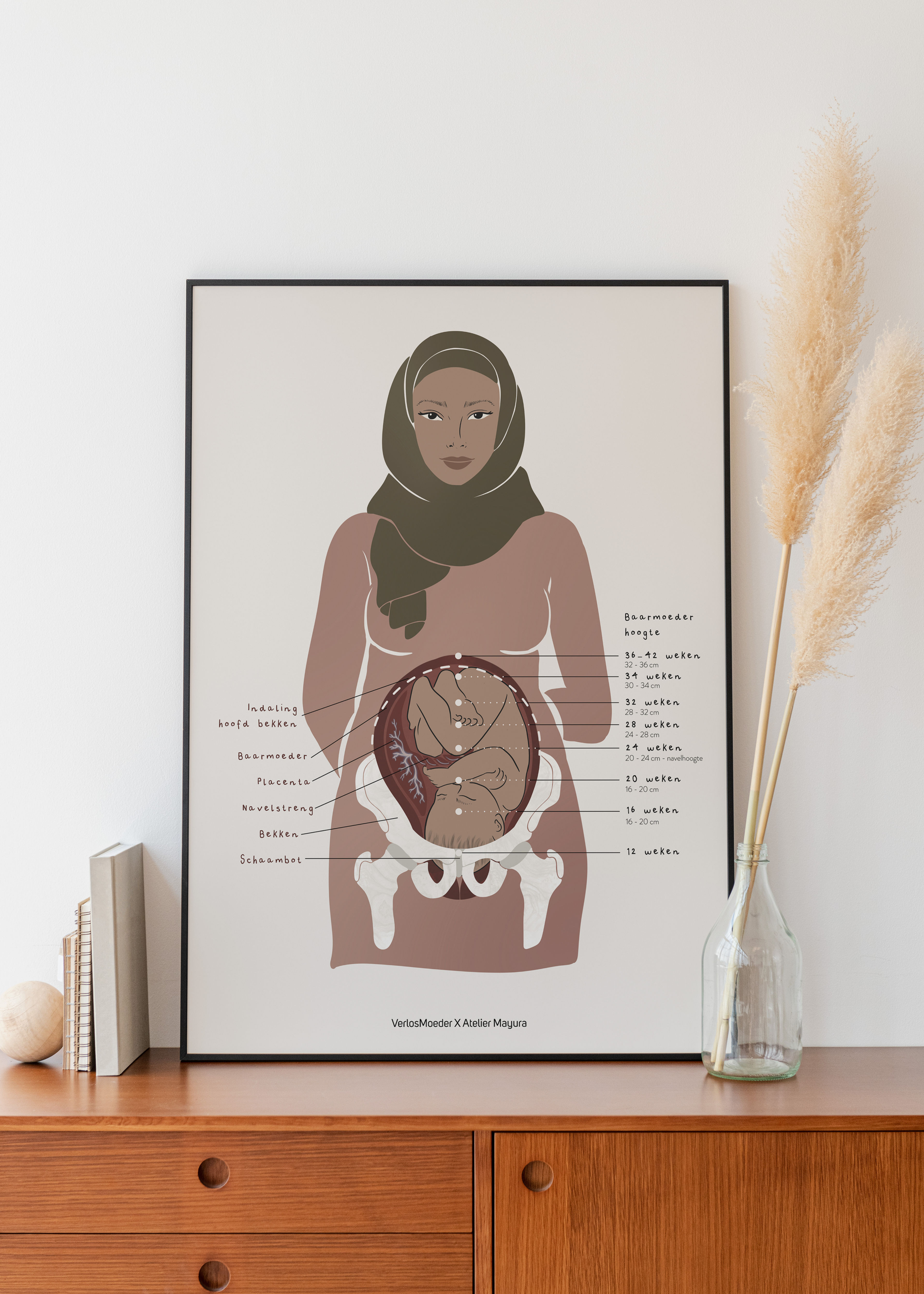 Vooraanzicht bekken en baarmoeder | Diversity Art Line