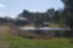 afternoon sun.JPG