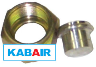#6 Female O-Ring Plug