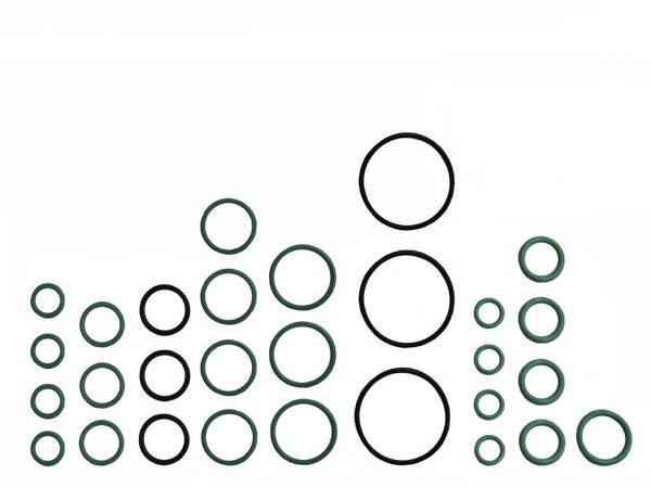 CNH O-Ring Kit for MXU, MAXXUM, and PUMA Series