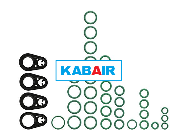 Chrysler/Dodge Mini-Van O-Ring and Gasket Kit
